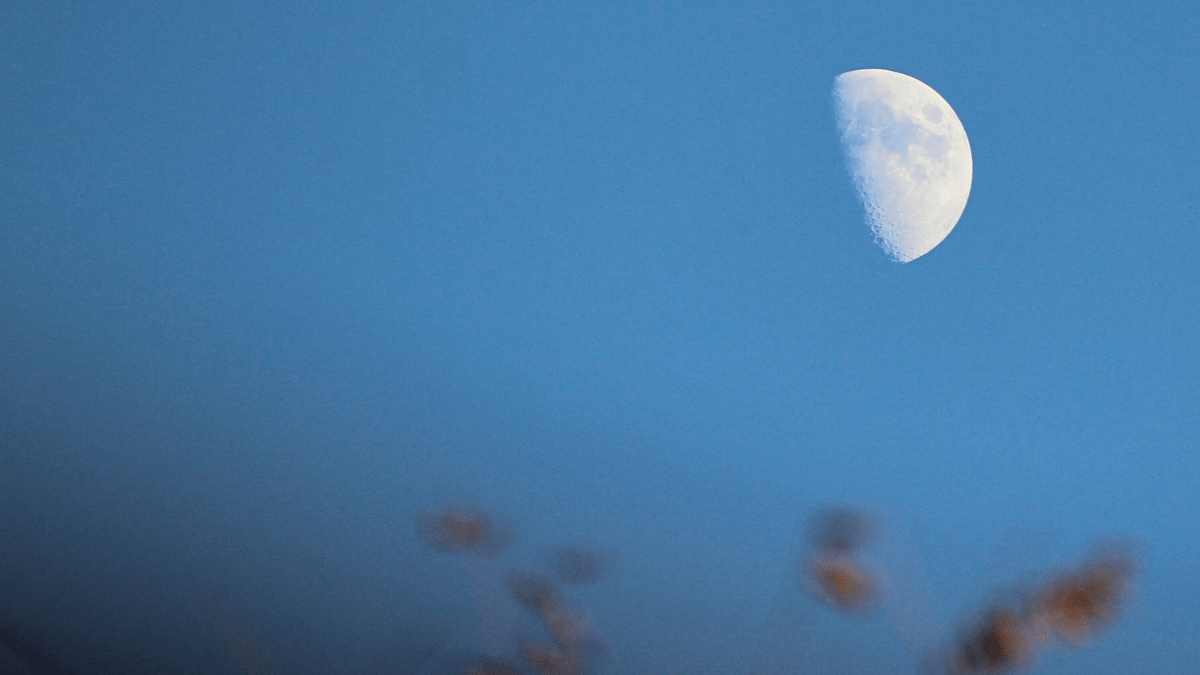 La danza lunar de noviembre: Fases y significados